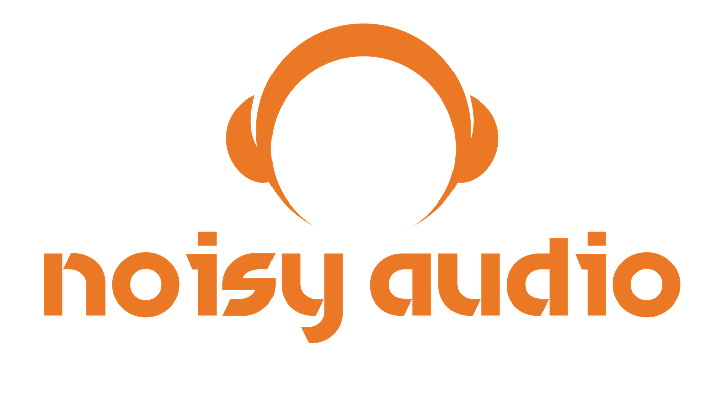 Noisy Audio logo